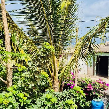 Casa Chiquinha Apartamento Ribeira da Prata Exterior foto