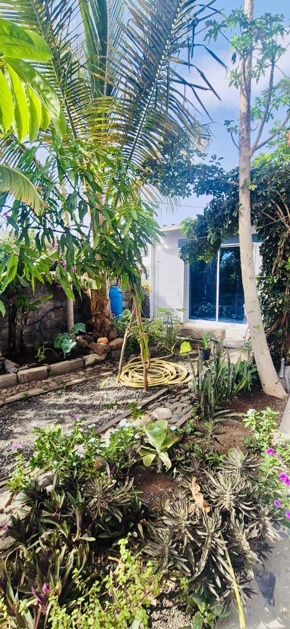 Casa Chiquinha Apartamento Ribeira da Prata Exterior foto